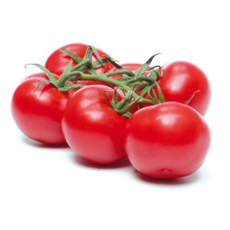 TOMATES EN GRAPPE / TROSTOMAAT
