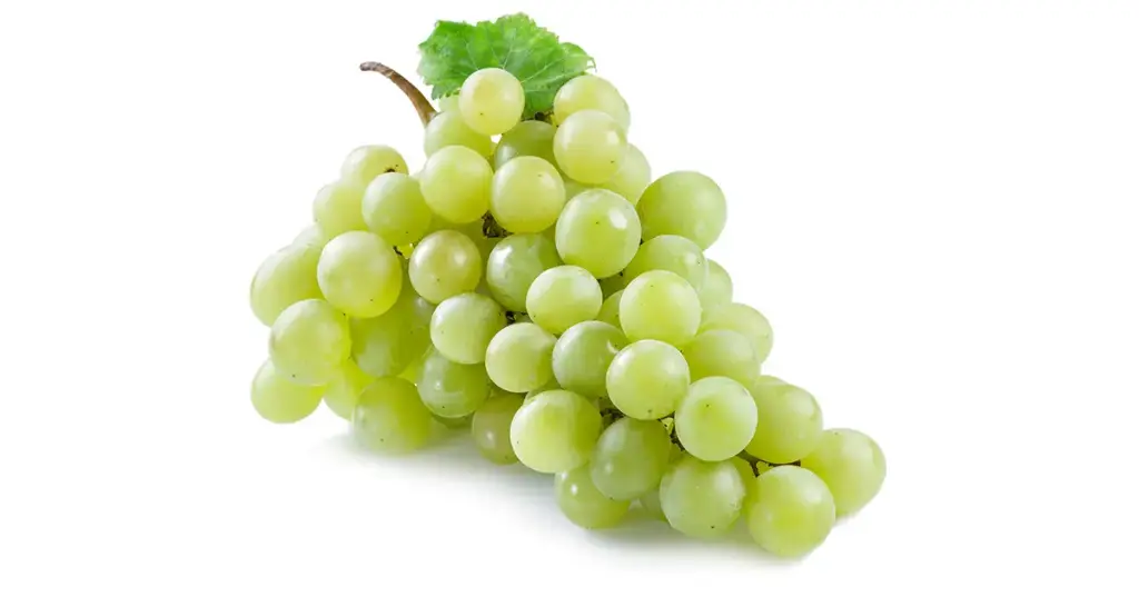 RAISINS BLANCS SANS PÉPINS / WIT DRUIF Z/PIT