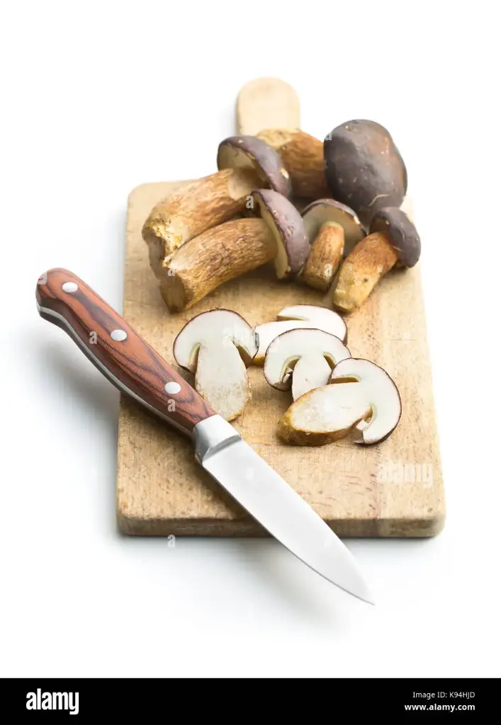 CHAMPIGNONS CEPES