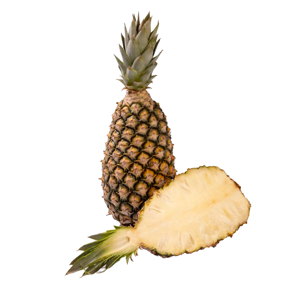 [419] ANANAS PAIN DE SUCRE
