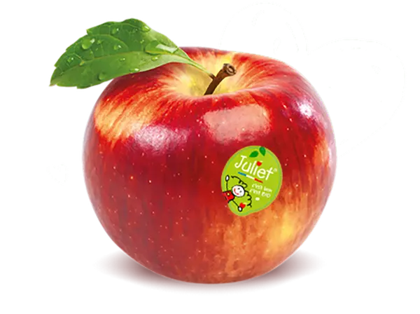 [428] BIO POMME JULIET