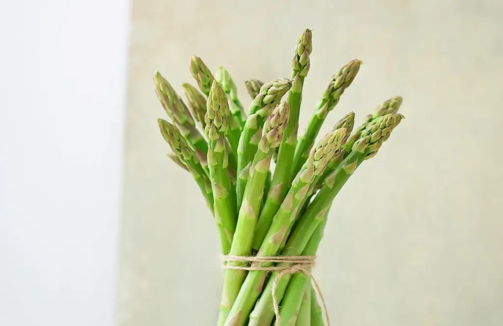 [138] ASPERGES VERTES