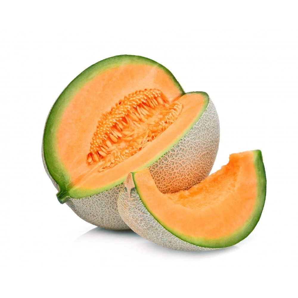 MELON CHARENTAIS