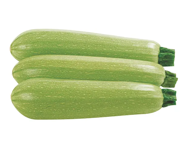 COURGETTE BLANCHE