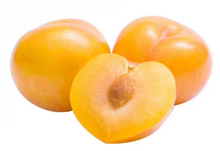 Prune Laetitia