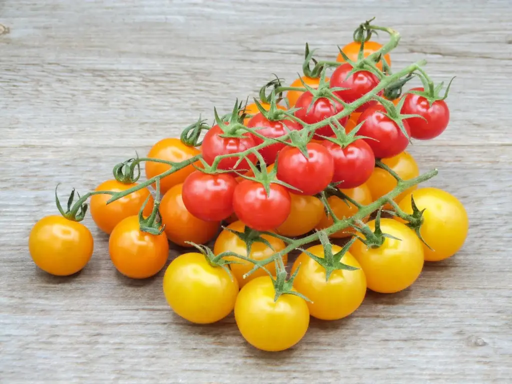 TOMATE CERISE GRAPPE