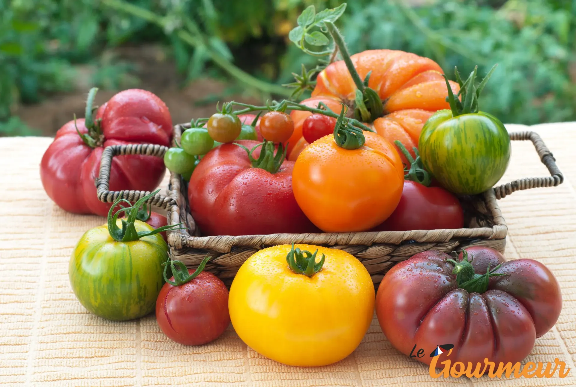 PROVENCAALSE TOMATEN
