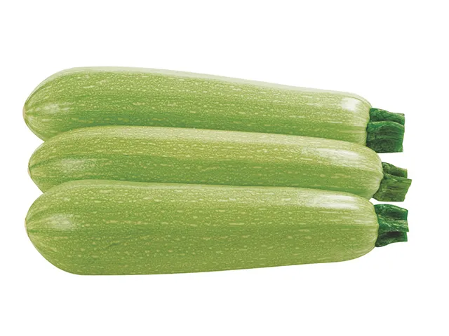 WITTE COURGETTE