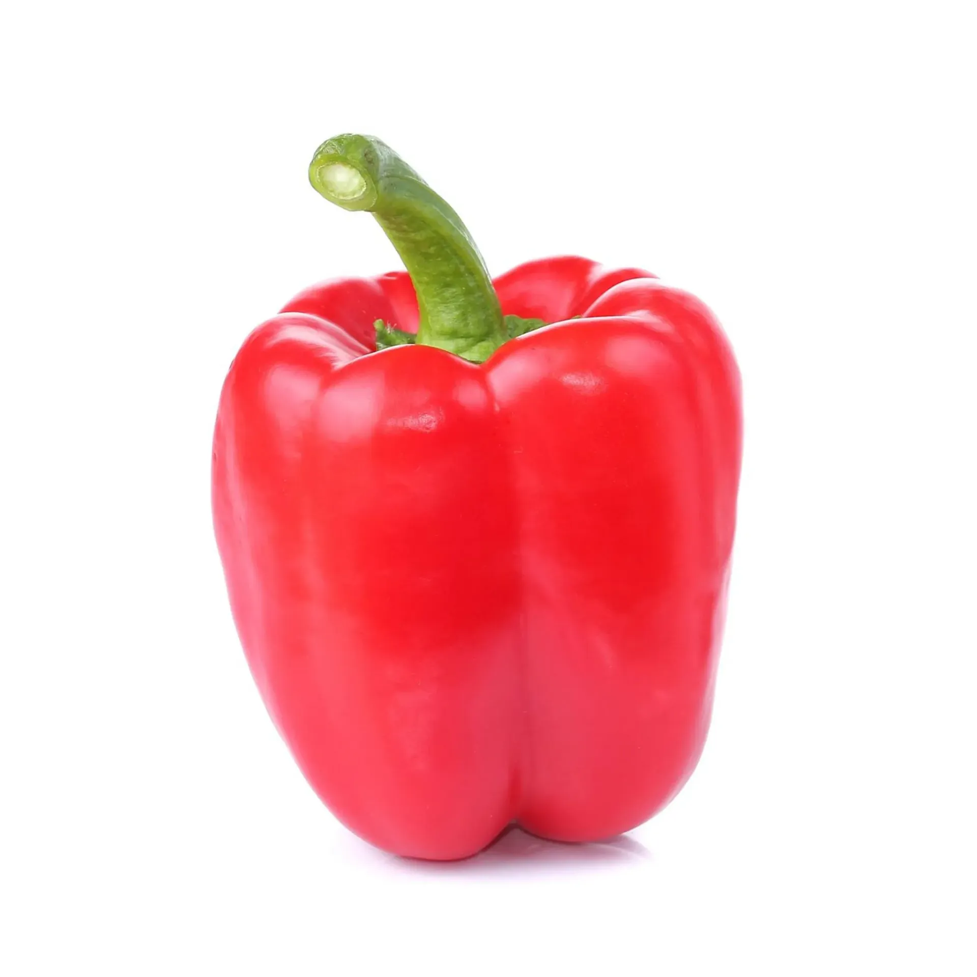 RODE PAPRIKA