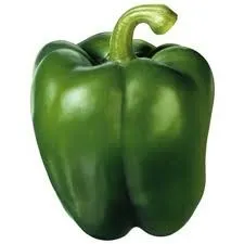 GROENE PAPRIKA