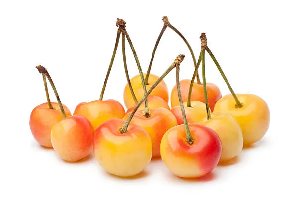 CERISES RAINIER KERSEN