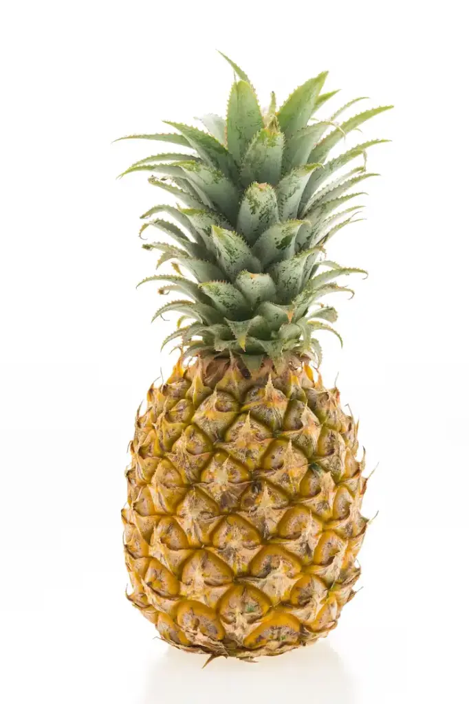[26] ANANAS