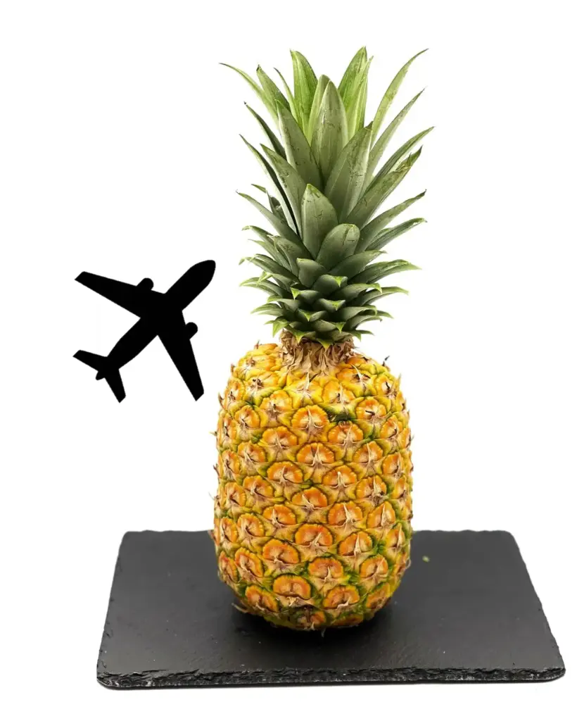 ANANS AVION / VLIEGTUIG ANANAS
