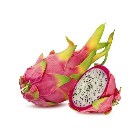 [31] PITAYA BLANCE / PITAYA WITTE