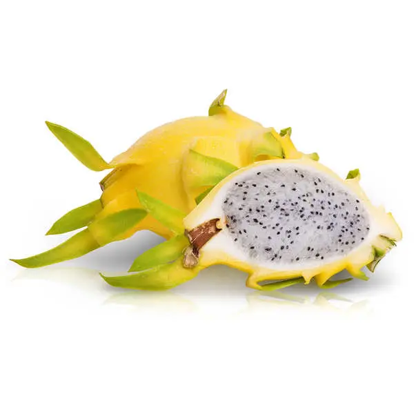 [32] PITAYA JAUNE