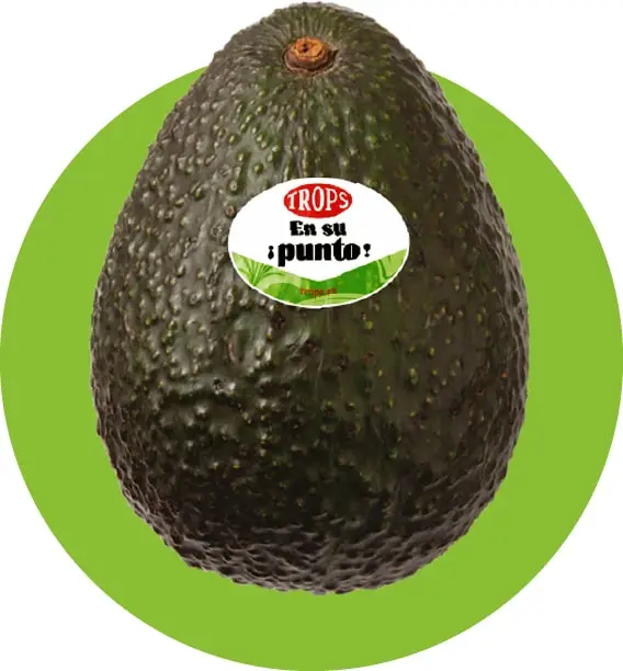 [38] AVOCAT TROPS
