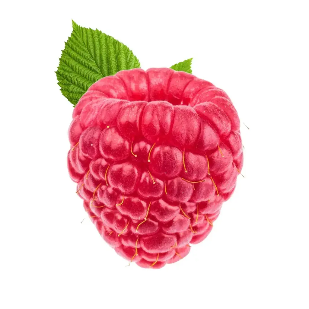 [67] FRAMBOISE