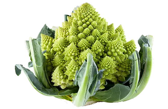 [107] ROMANESCO