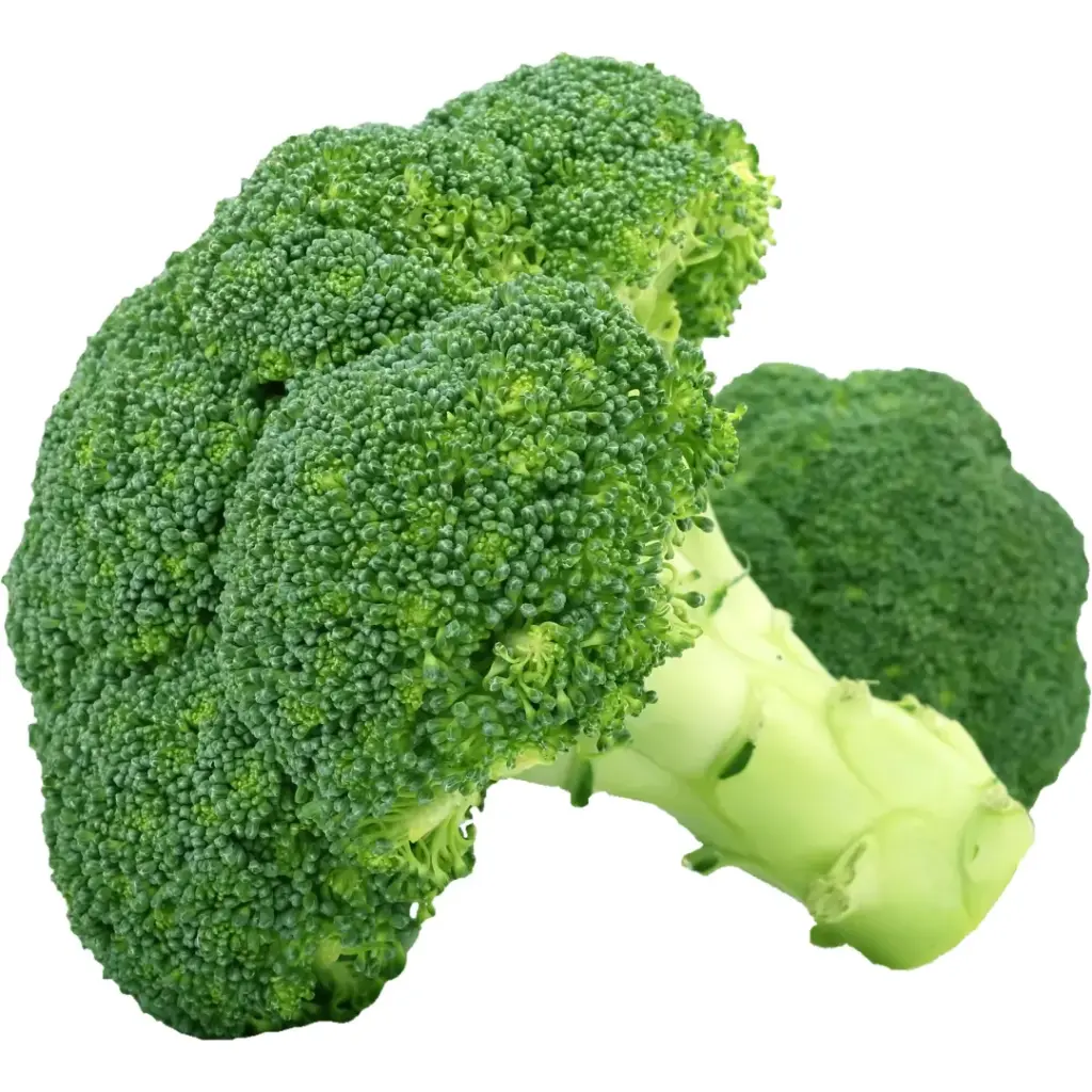 [109] BROCOLI