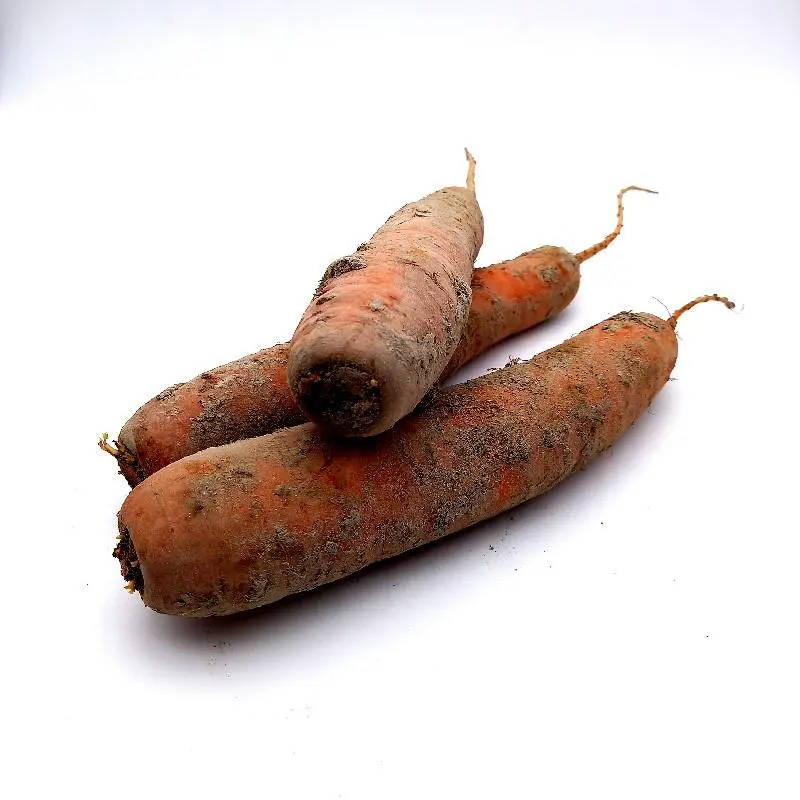 [154] CAROTTES VRAC