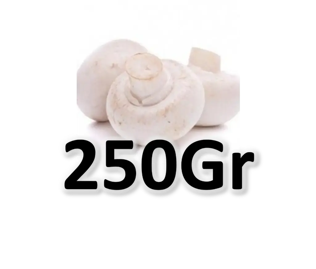 [190] CHAMPIGNONS BLANCS 250 G / W CHAMP .250GR