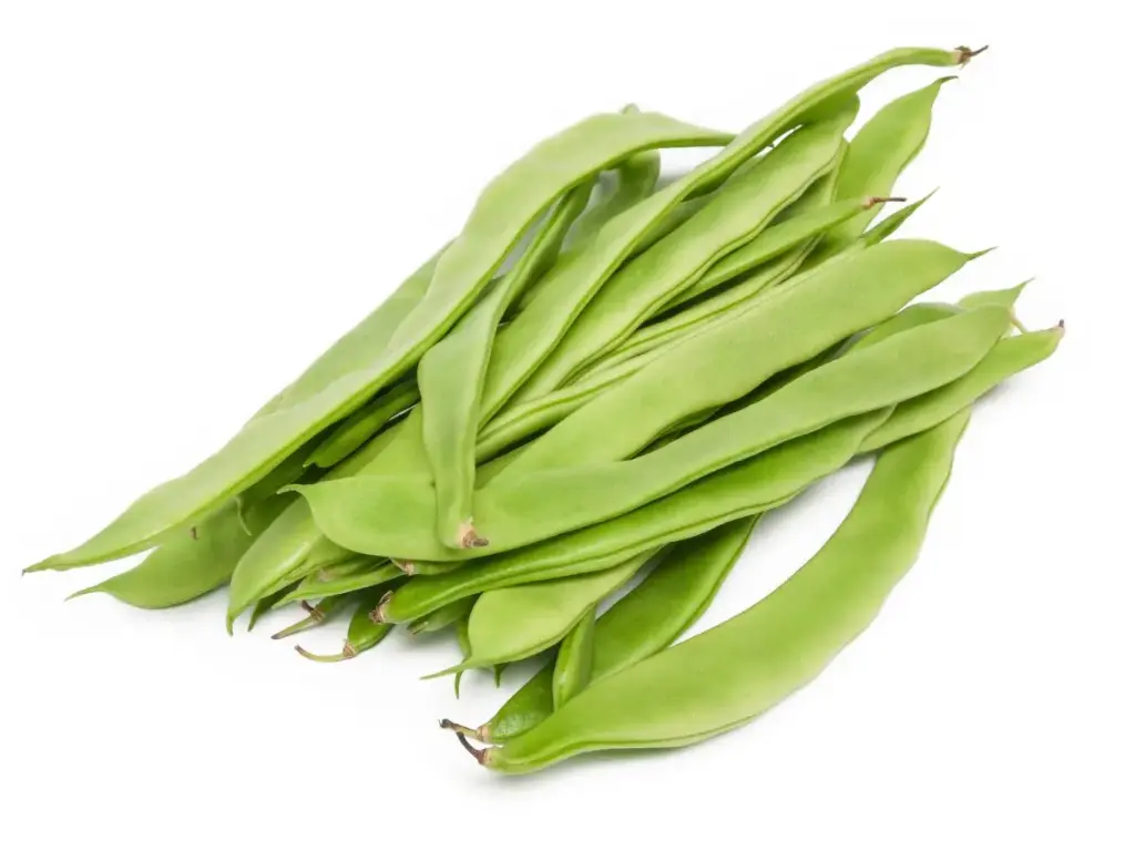 [508] HARICOTS PLATS / SNIJBOON