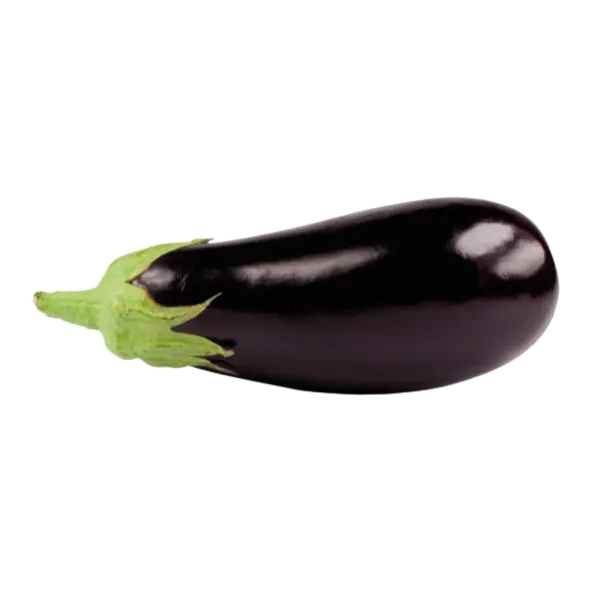 [214] AUBERGINE